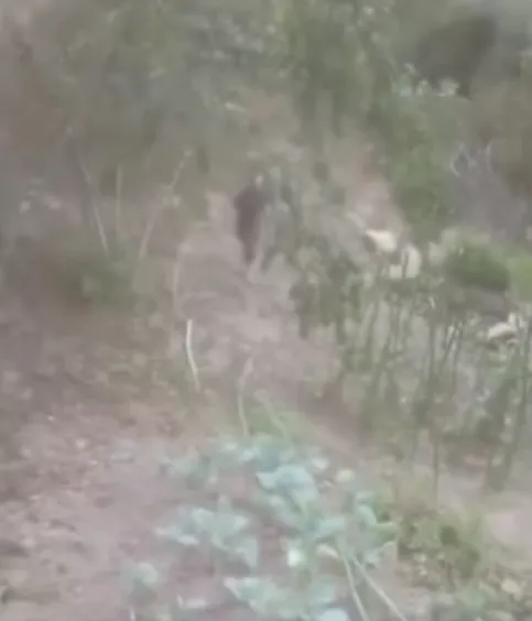 Fındık bahçesini sulamak için mahalleyi susuz bıraktı