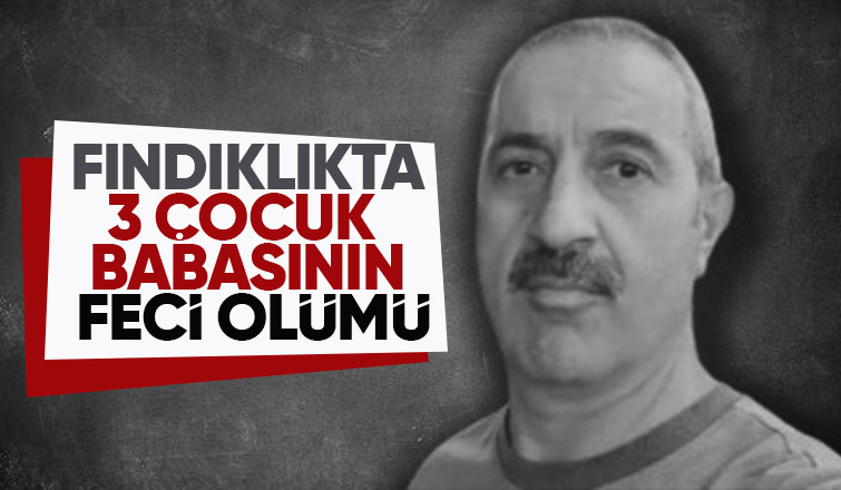 Fındık çuvalını tutmak isterken hayatını kaybetti