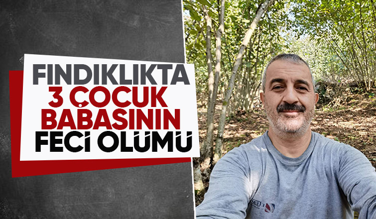 Fındık çuvalını tutmak isterken hayatını kaybetti
