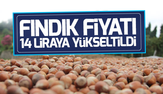 Fındık fiyatı 14 liraya yükseltildi