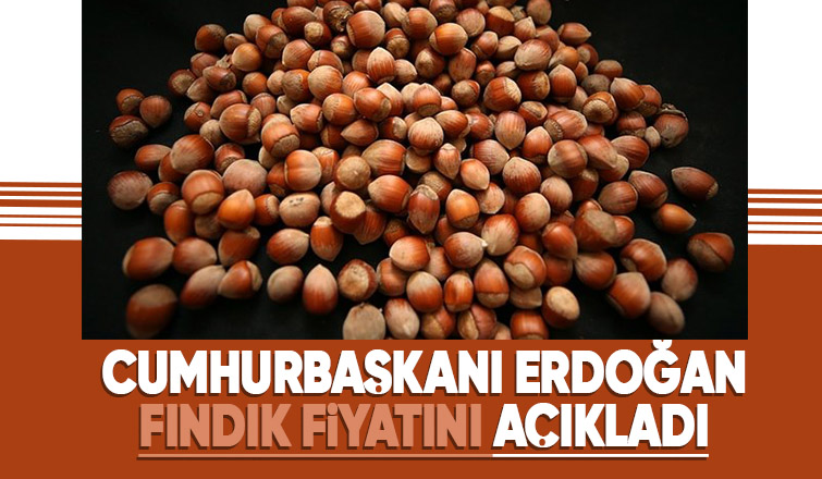 Fındık fiyatı açıklandı