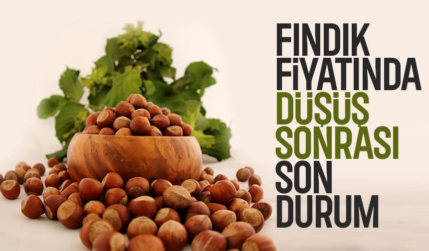Fındık fiyatı düşüş sonrası yeni haftaya nasıl başladı?