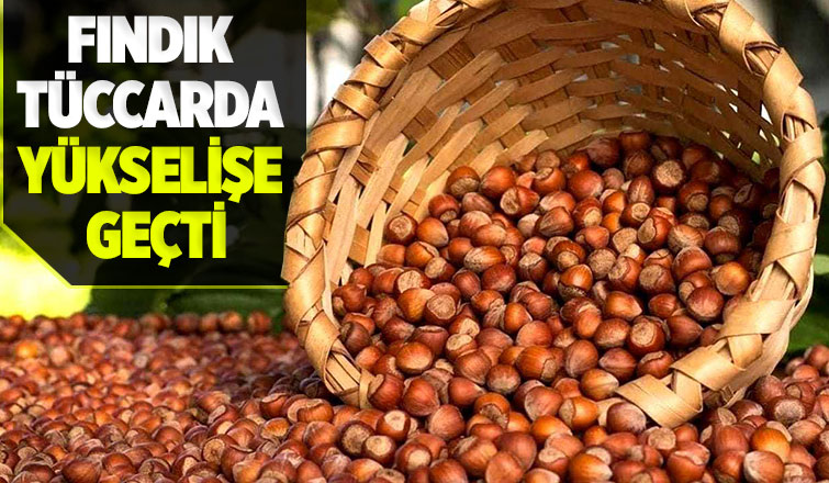 Fındık fiyatı hızla yükseliyor