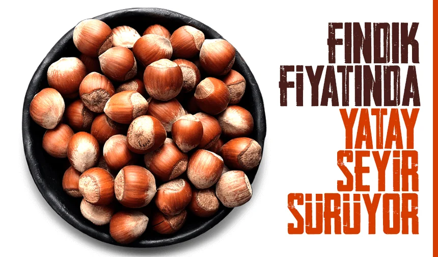 Fındık fiyatı ne kadar oldu; İşte güncel fındık fiyatı