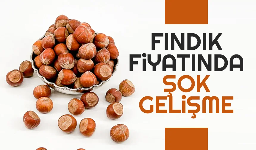 Fındık fiyatında beklenmedik düşüş