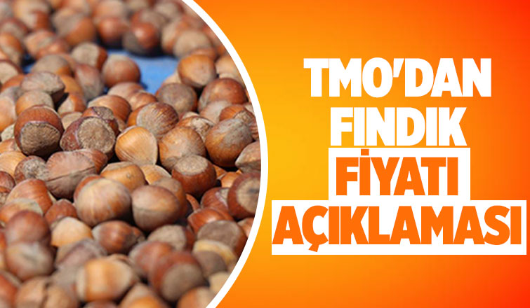 Fındık fiyatında güncelleme isteniyordu: TMO'dan açıklama geldi