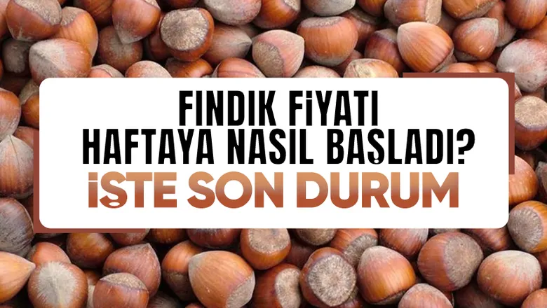 Fındık fiyatında son durum
