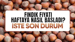 Fındık fiyatında son durum