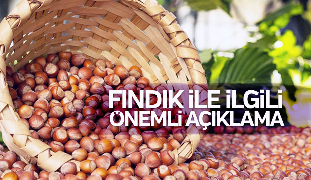 Fındık fiyatıyla ilgili flaş açıklama 