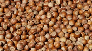 Fındık fiyatları haftayı nasıl kapattı? Fındık fiyatında son durum