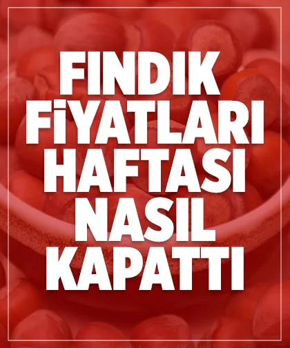 Fındık fiyatları haftayı nasıl kapattı? İşte son durum