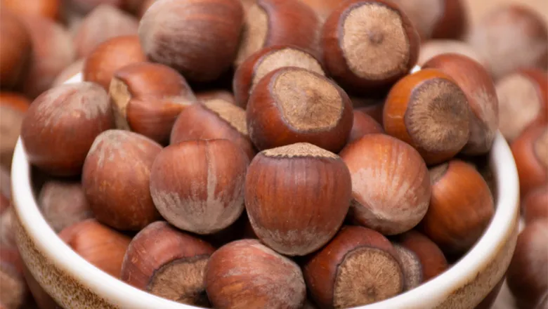 Fındık fiyatları haftayı nasıl kapattı? İşte son durum