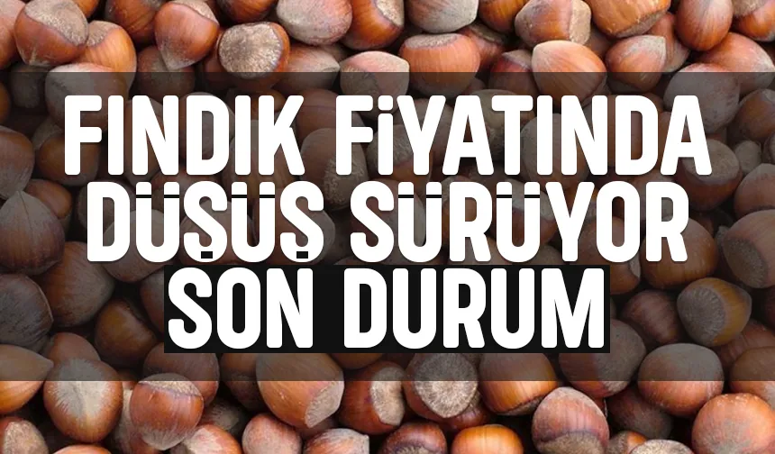 Fındık fiyatlarında düşüş devam ediyor; İşte son durum