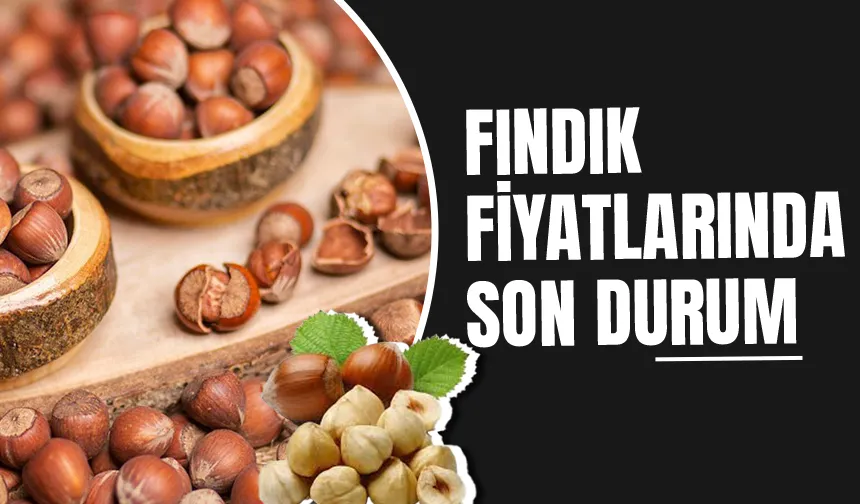 Fındık fiyatlarında düşüş sonrası son durum