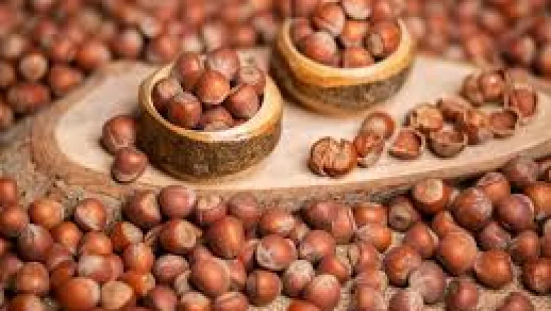 Fındık fiyatlarında son durum