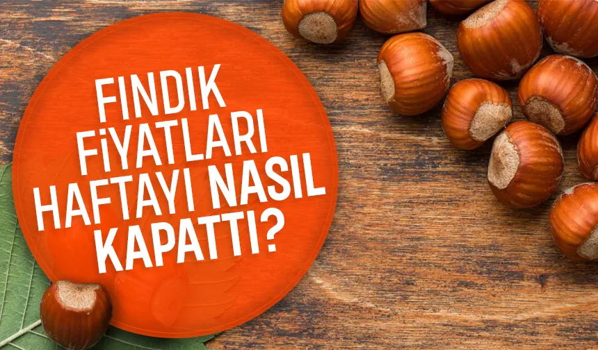 Fındık fiyatlarında son durum; Haftayı bu fiyattan kapattı