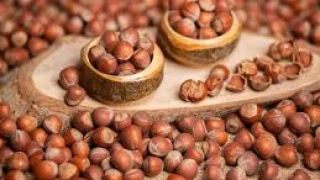 Fındık fiyatlarında son durum