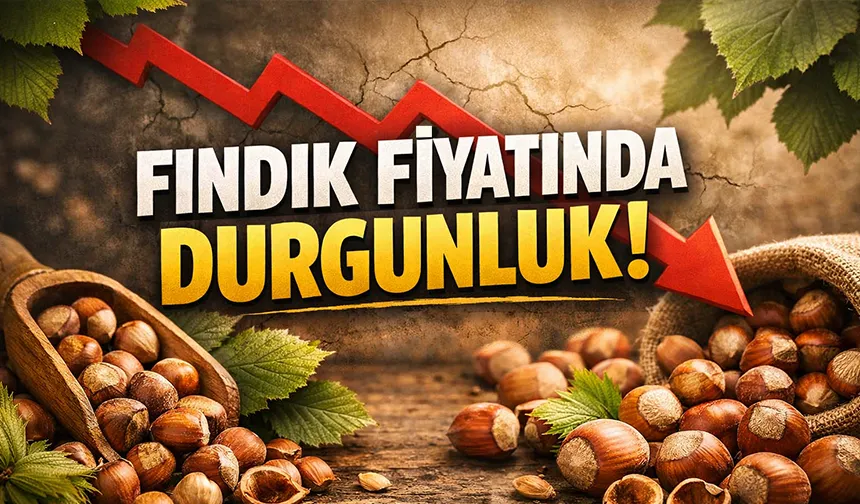 Fındık fiyatlarında son durum