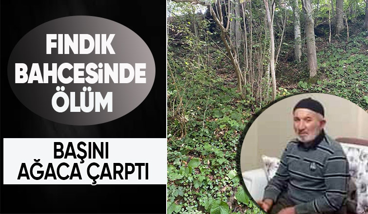 Fındık toplamaya gittiği bahçede hayatını kaybetti