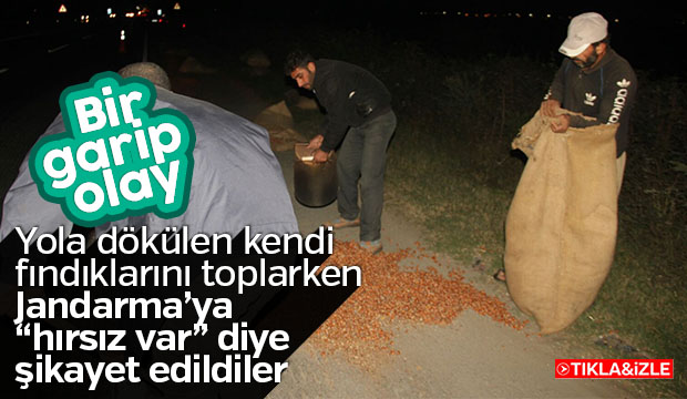 Fındık Yağmalama İhbarı Jandarmayı Harekete Geçirdi