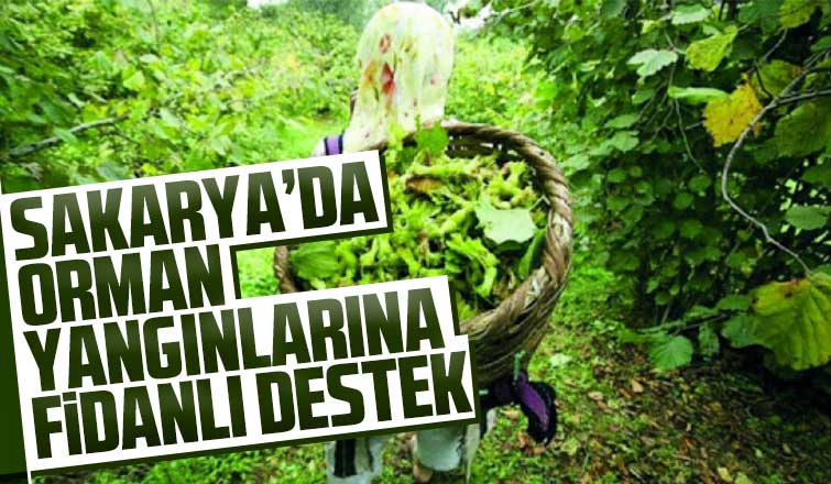 Fındık yevmiyesi belli oldu