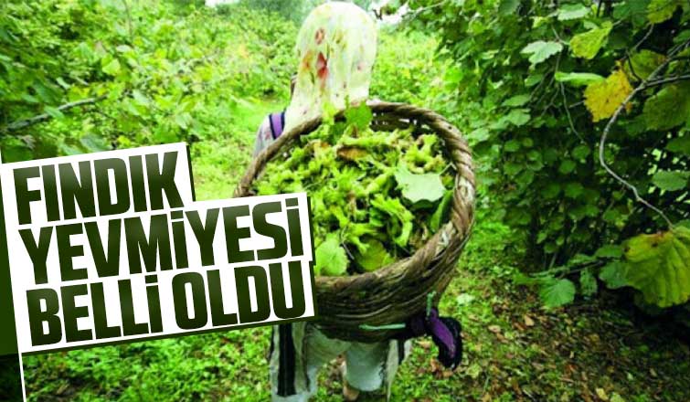 Fındık yevmiyesi belli oldu