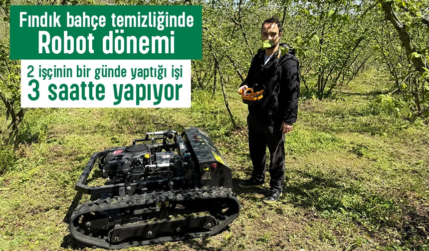 Fındıkçılar bu haber sizin için 2 kişinin bir günde yaptığı işi 3 saatte bitiriyor