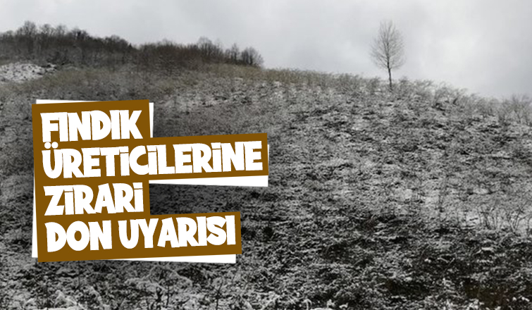 Fındıkçıya don uyarısı