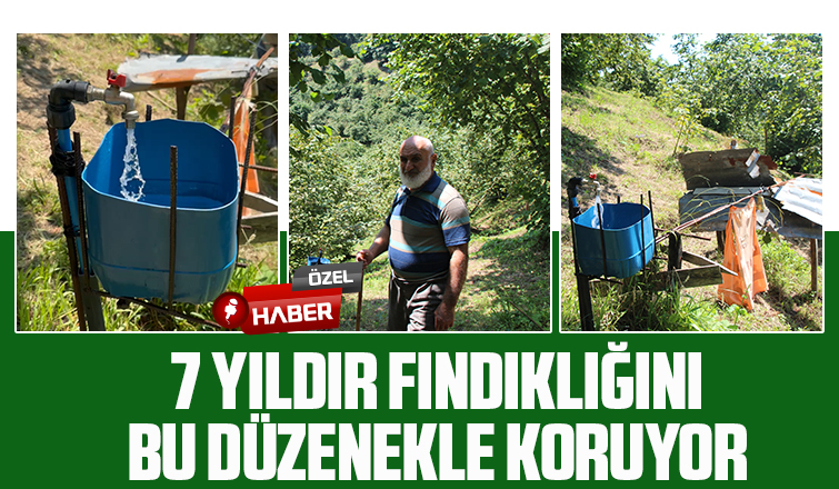 Fındıklığını yaban hayvanlarından korumak için düzenek yaptı