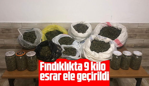 Fındıklıkta 9 kilo esrar ele geçirildi