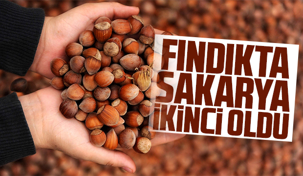 Fındıkta Sakarya ikinci oldu