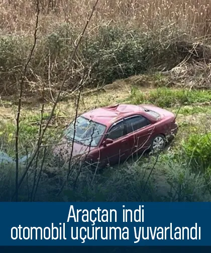 Frenleri kontrol etmek için indi, şarampole yuvarlandı