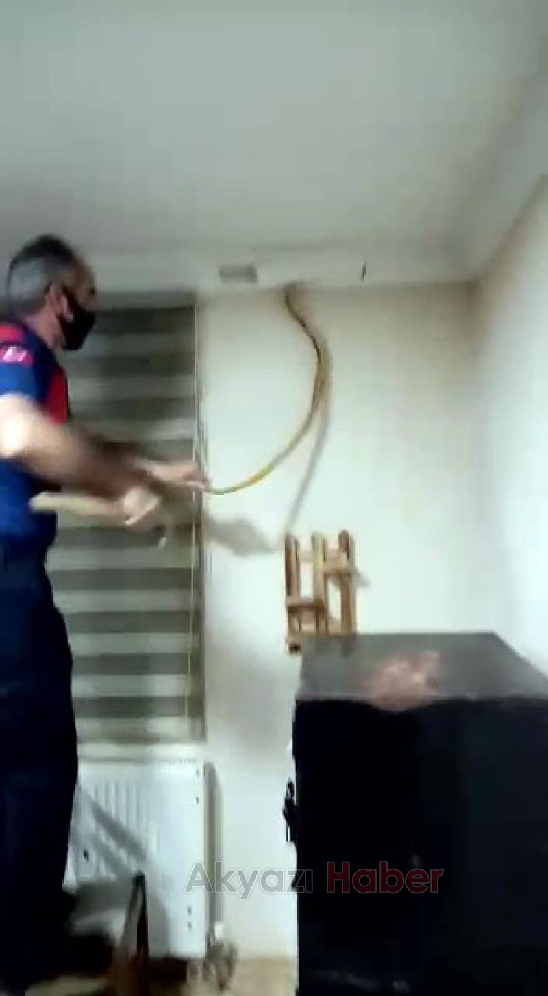 Tavandaki kartonpiyerden 2 yılan çıktı