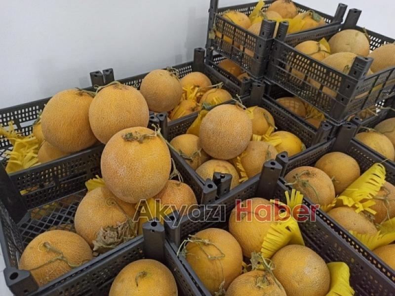 Vatandaşı Sevindirecek Haber Geldi 