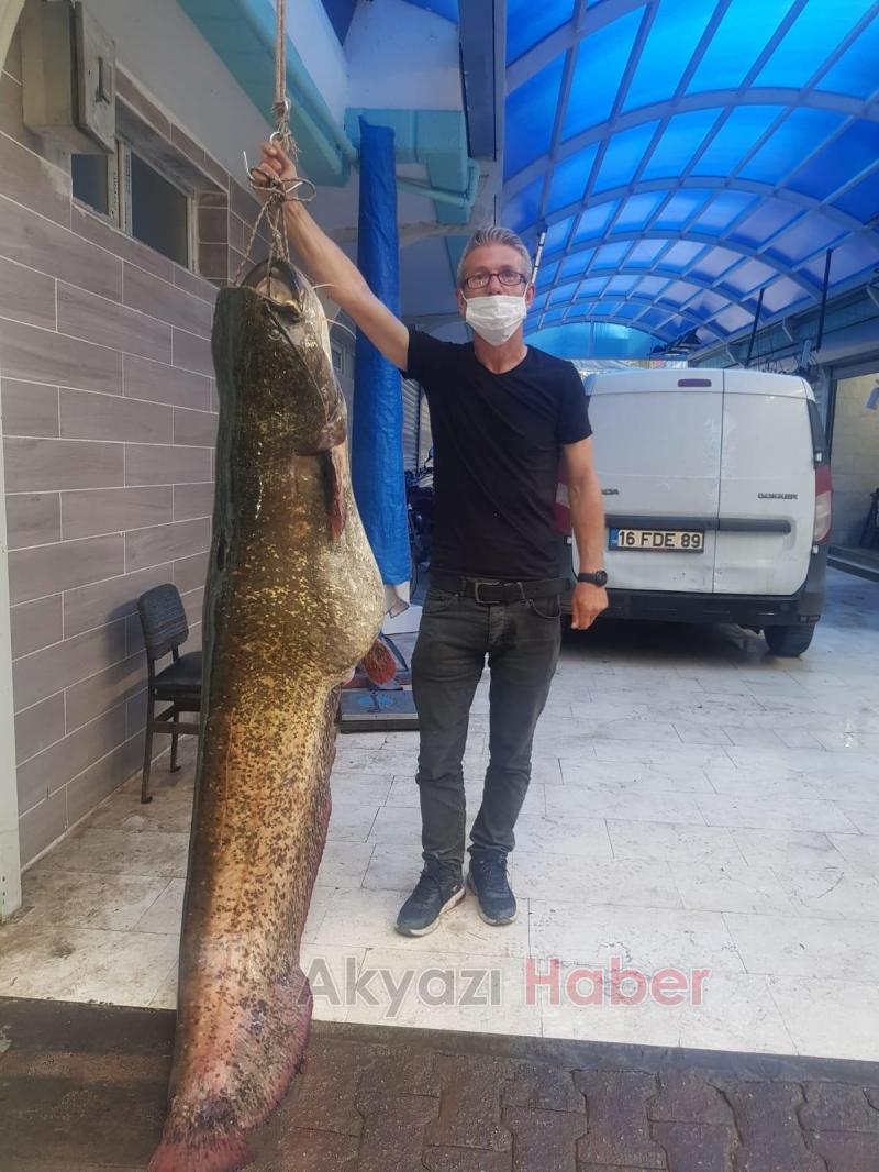 Dev yayın balığı yakaladılar