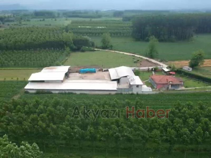 Hisse ve Kurbanlık satışları başladı