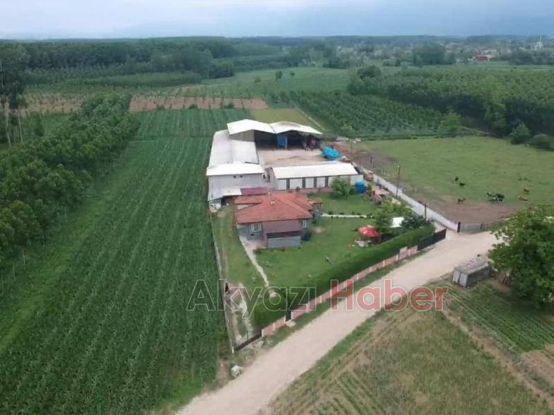 Hisse ve Kurbanlık satışları başladı