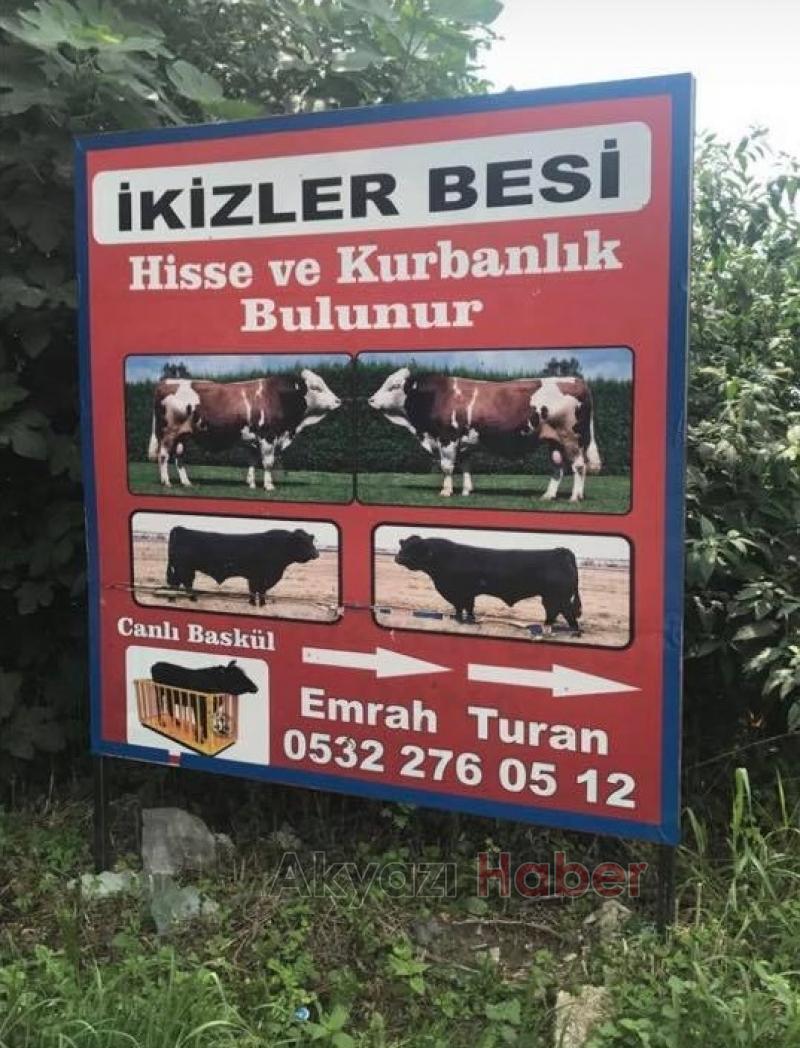 Hisse ve Kurbanlık satışları başladı