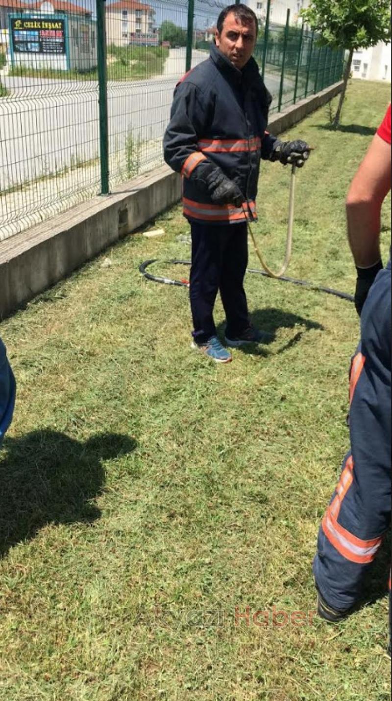 TOKİ konutlarında yılan paniği