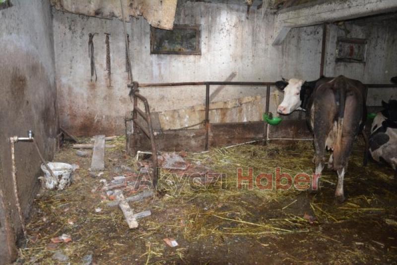 Patlamada evler hasar gördü