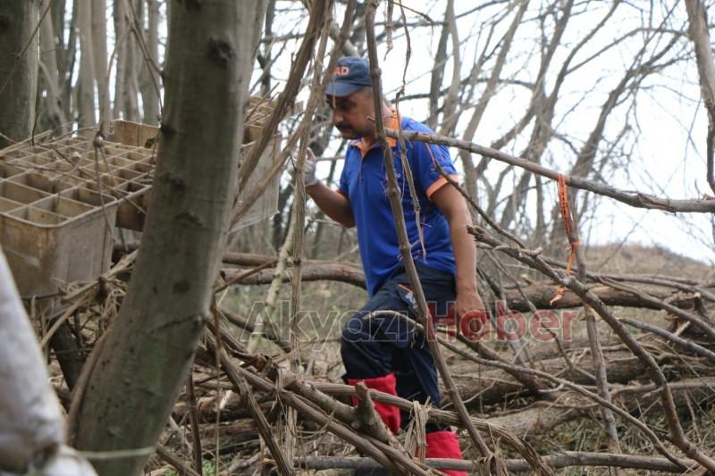 Facianın ardından çalışmalar sürüyor