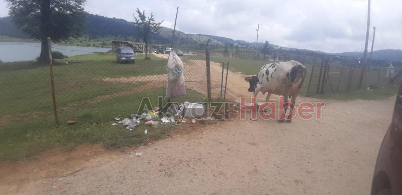 Acelle Yaylası'ndaki beton yapılarla ilgili açıklama