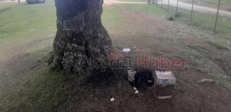 Acelle Yaylası'ndaki beton yapılarla ilgili açıklama