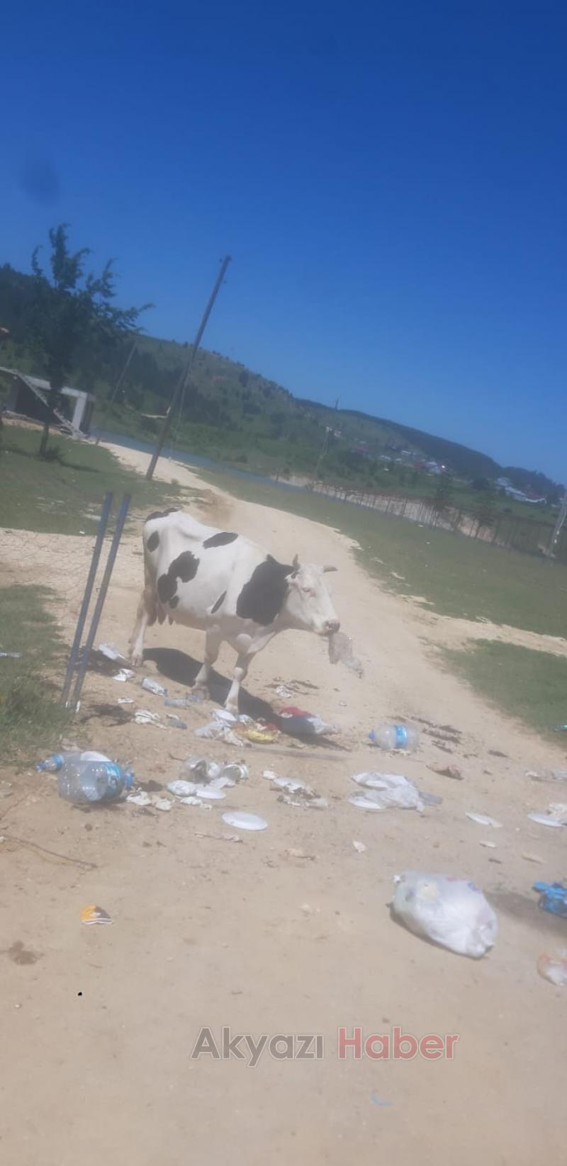 Acelle Yaylası'ndaki beton yapılarla ilgili açıklama