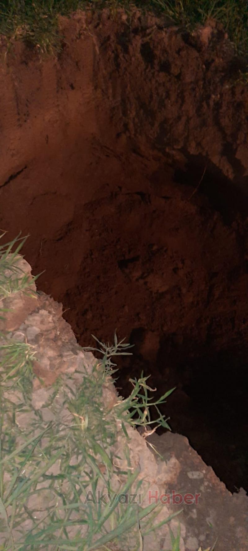 Topağaç'ta büyükbaş ölümleri