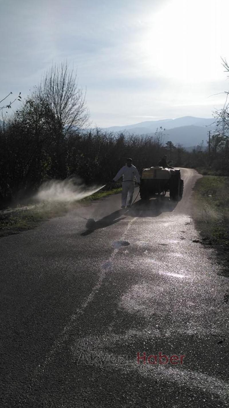Topağaç'ta büyükbaş ölümleri