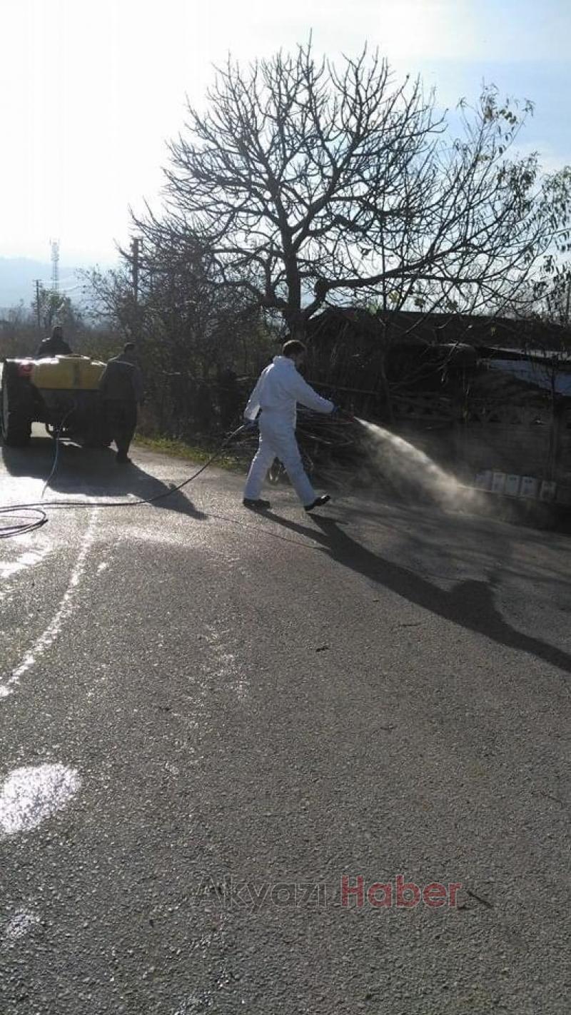 Topağaç'ta büyükbaş ölümleri