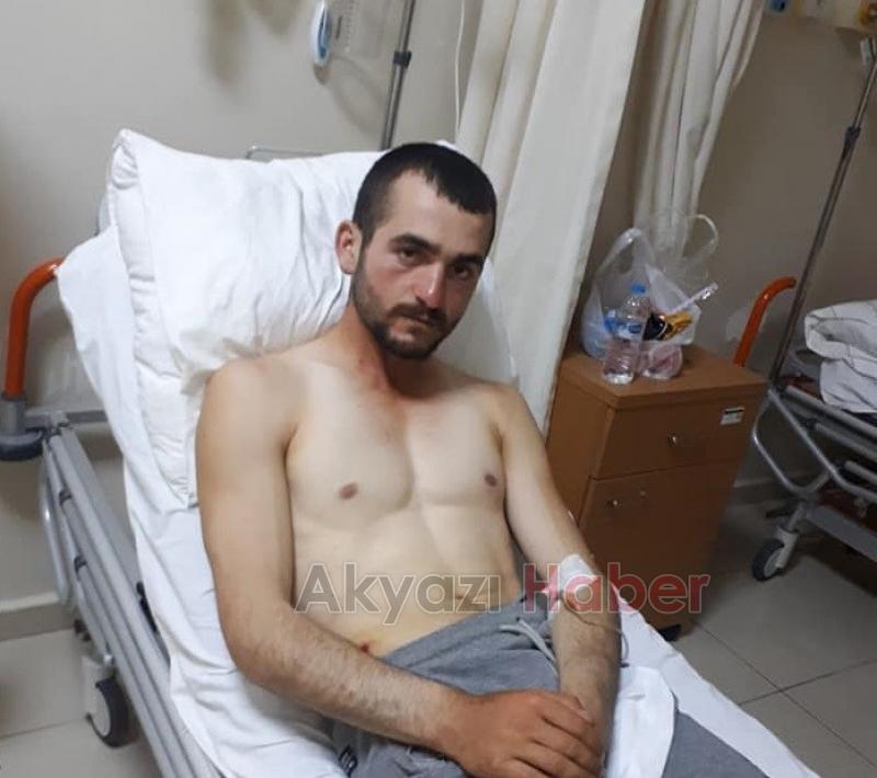 Ayının saldırısından köpekleri kurtardı