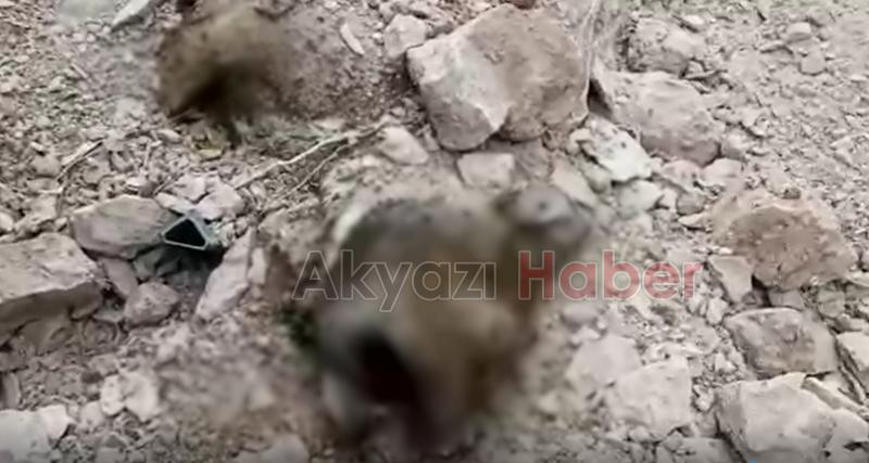 HAYTAP suç duyurusunda bulundu