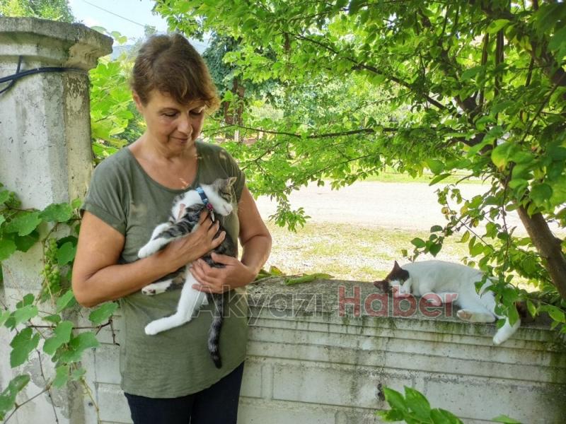 Silahla Sütlacı öldüren caninin bulunmasını istiyor